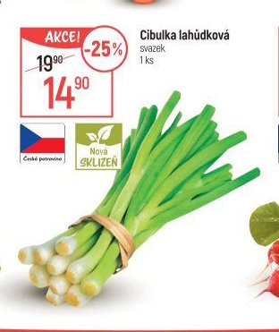 Cibulka lahůdková