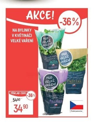 Bylinky v květináči