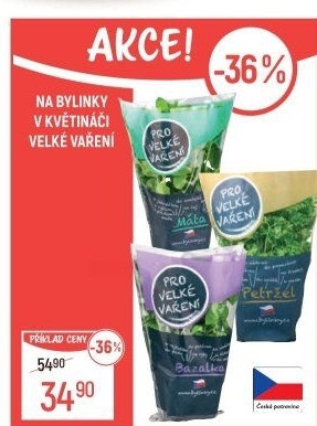 Bylinky v květináči