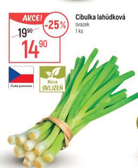 Jarní cibule svazek