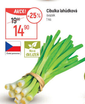 Jarní cibule svazek