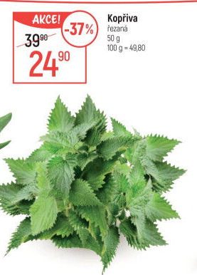 Kopřiva čerstvá
