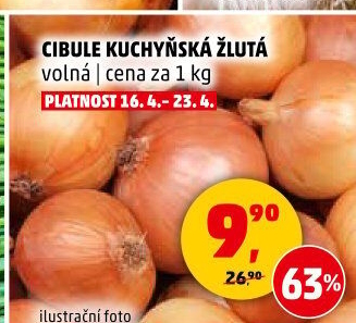 Cibule kuchyňská žlutá