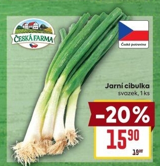 Jarní cibule svazek Česká farma