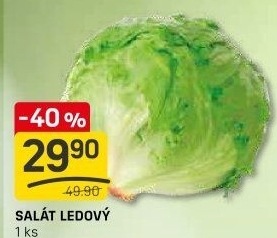 Salát ledový