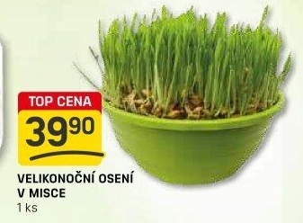 Velikonoční osení