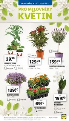 akční leták Lidl 22.4.2025-23.4.2025