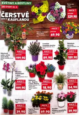akční leták Kaufland 22.4.2025-29.4.2025