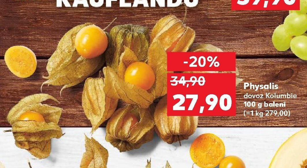 Physalis