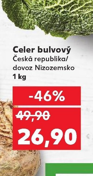 Celer bulvový
