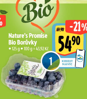 Borůvky bio Nature'