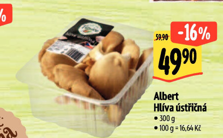 Hlíva ústřičná Albert