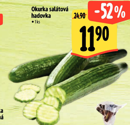 Okurka salátová - hadovka