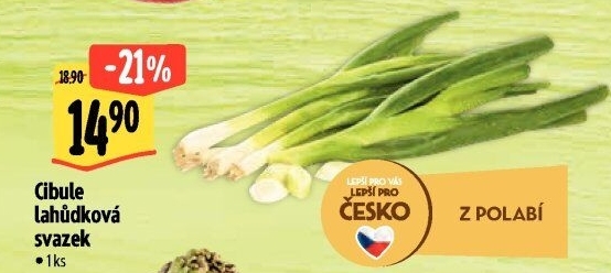 Jarní cibule svazek