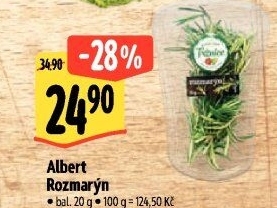 Rozmarýn čerstvý Albert