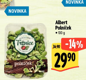 Salát polníček Albert