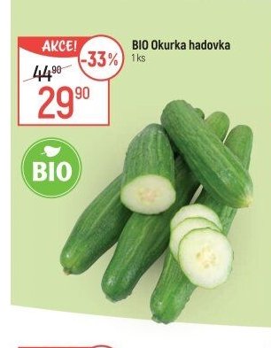 BIO Okurka hadovka