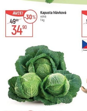 Kapusta hlávková