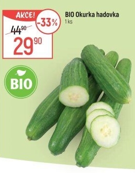 Okurka salátová - hadovka bio