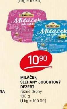 MILÁČEK ŠLEHANÝ JOGURT PUDING různé druhy 100 g