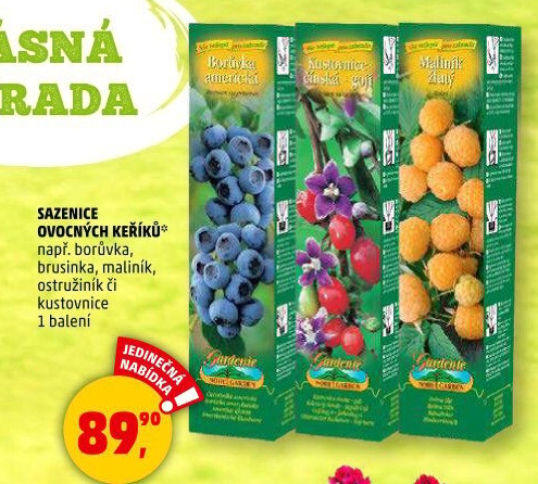 Sazenice ovocných keříků Nohel Garden