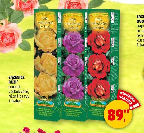 Sazenice růží Nohel Garden