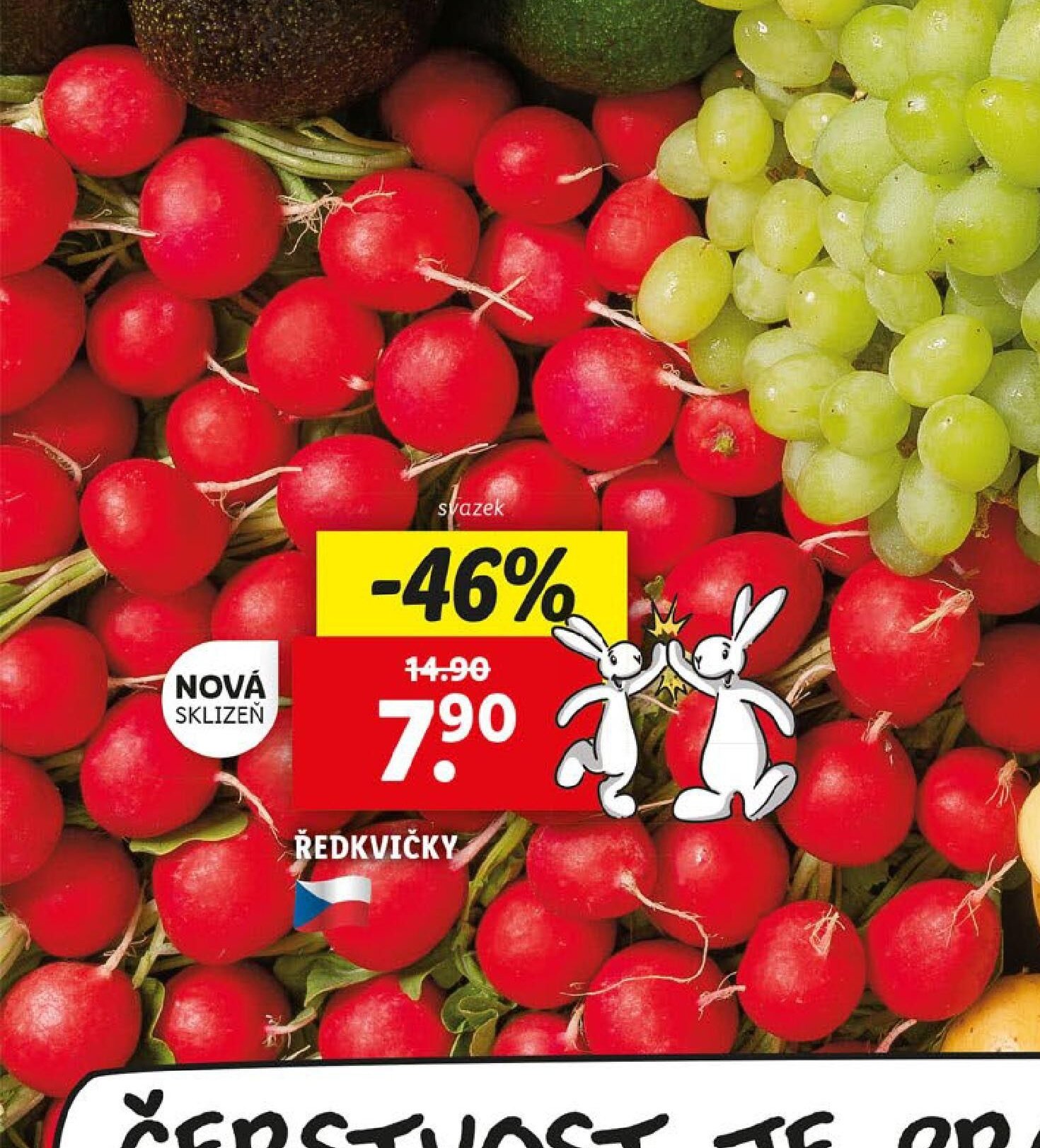 Ředkvičky