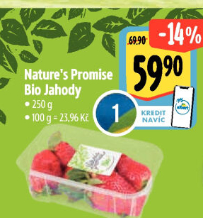 Jahody bio Nature'