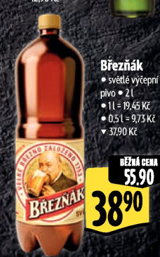 Pivo světlé výčepní 10° Březňák