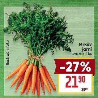 Mrkev svazková