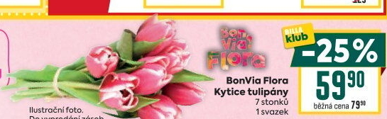 Řezané tulipány Flora Billa Bonvia