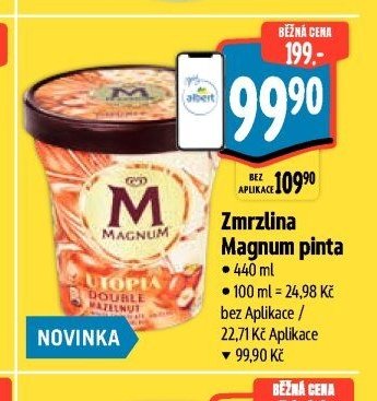 Zmrzlina Magnum pinta