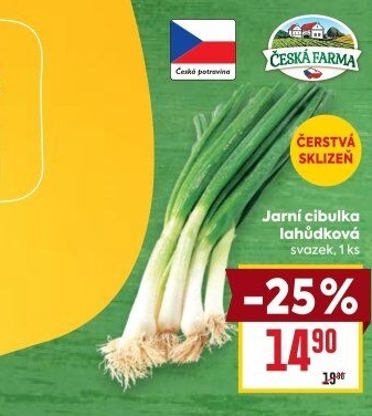 Jarní cibule svazek Česká farma