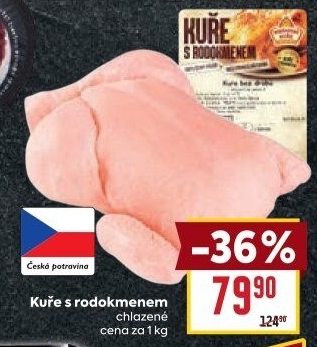 Kuře s rodokmenem Vodňanské kuře