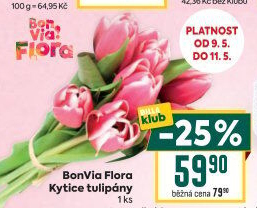 Řezané tulipány Flora Billa Bonvia