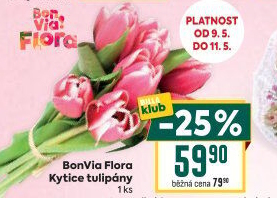 Řezané tulipány Flora Billa Bonvia