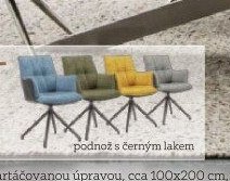 Židle s područkami