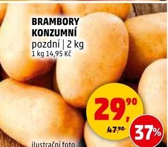 Brambory konzumní pozdní