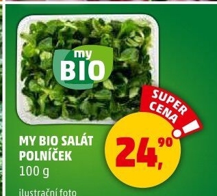 Salát polníček My BIO