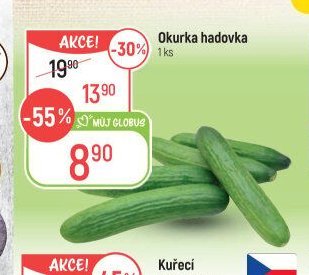 Okurka hadovka