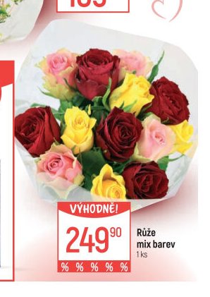 Růže mix barev