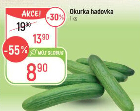 Okurka salátová - hadovka