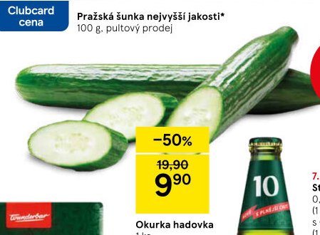 Okurka hadovka