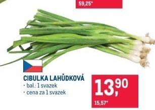 Jarní cibule svazek