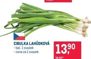 Jarní cibule svazek