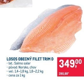 Losos obecný filety