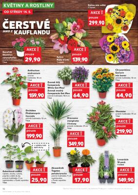 akční leták Kaufland 14.5.2025-20.5.2025