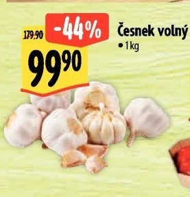 Česnek
