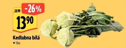 Kedlubna bílá