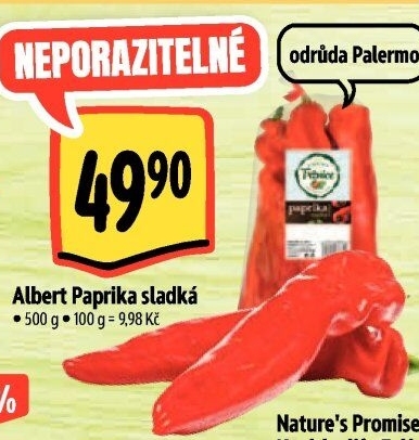 Paprika červená Albert